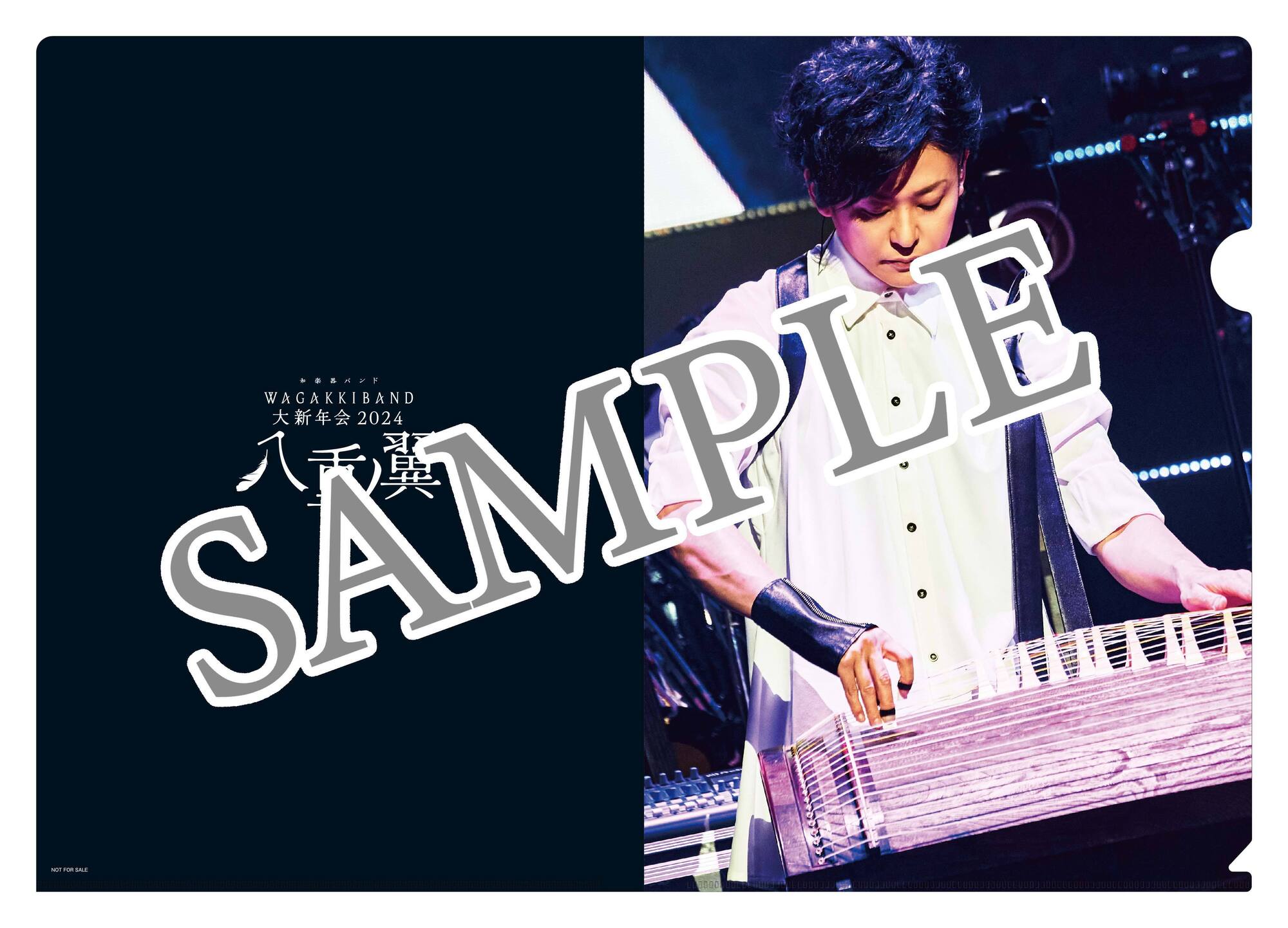 10/9(水)発売 LIVE Blu-ray『和楽器バンド 大新年会2024 日本武道館