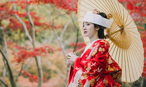 鳳凰鶴に四季花｜東京でご案内できる白無垢コレクション｜和婚スタイル