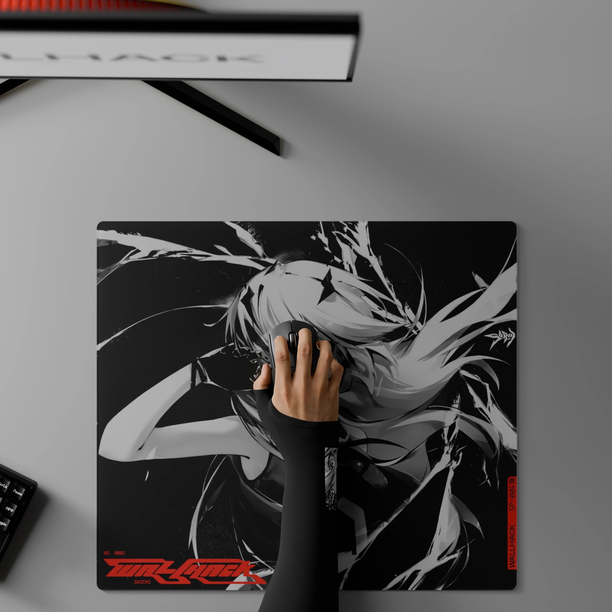 Gaming Sleeve Frenzy Sora | Wallhack