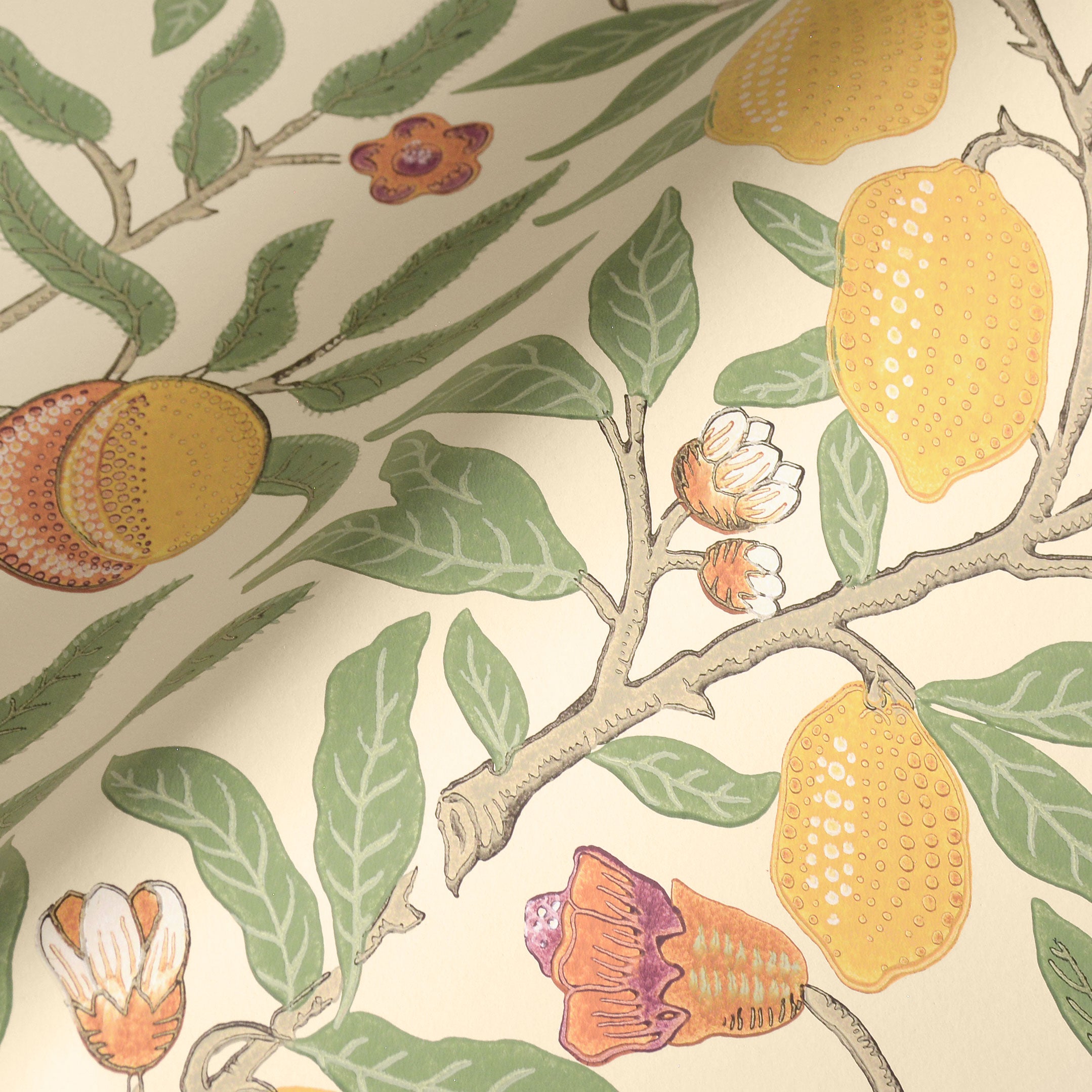 MORRIS & Co.(ウィリアム・モリス) / SIMPLY MORRIS / Fruit 217087