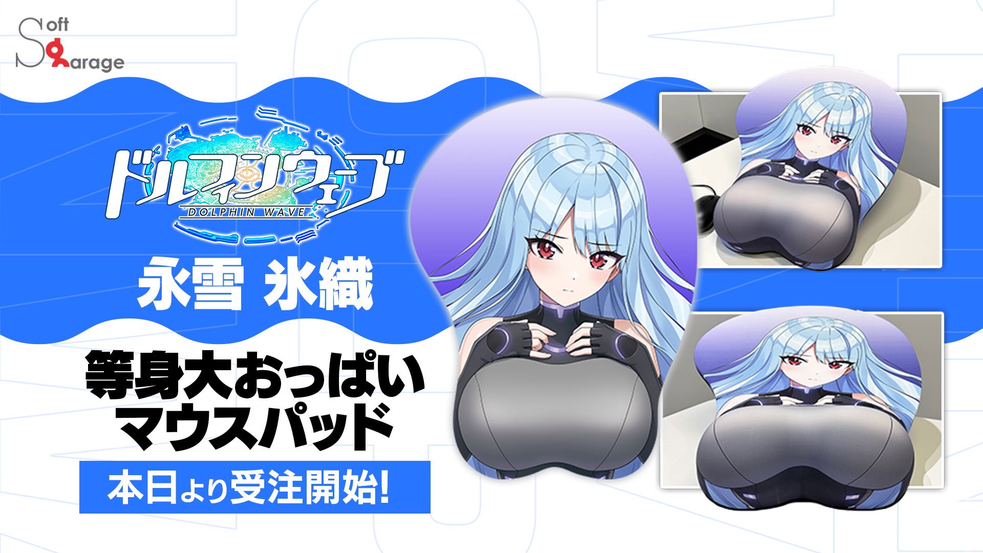 ドルフィンウェーブ商品化情報(2024～)