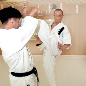 意拳 六大秘訣 第1巻「站椿」 | DVD | 武道・武術の総合情報サイト WEB秘伝