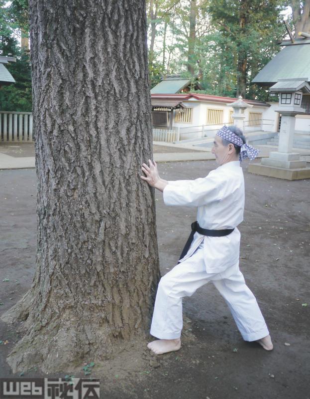柳川昌弘 Yanagawa Masahiro – 全世界武道空手連合 柳川道場 | 達人