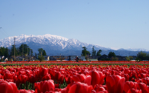 w k e y - 長野式研究会 - ］