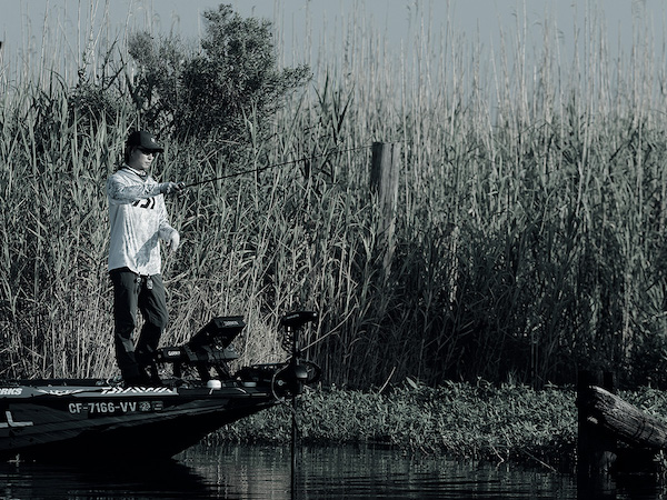 入荷情報】ダイワ・スティーズ リアルコントロール2024年モデル