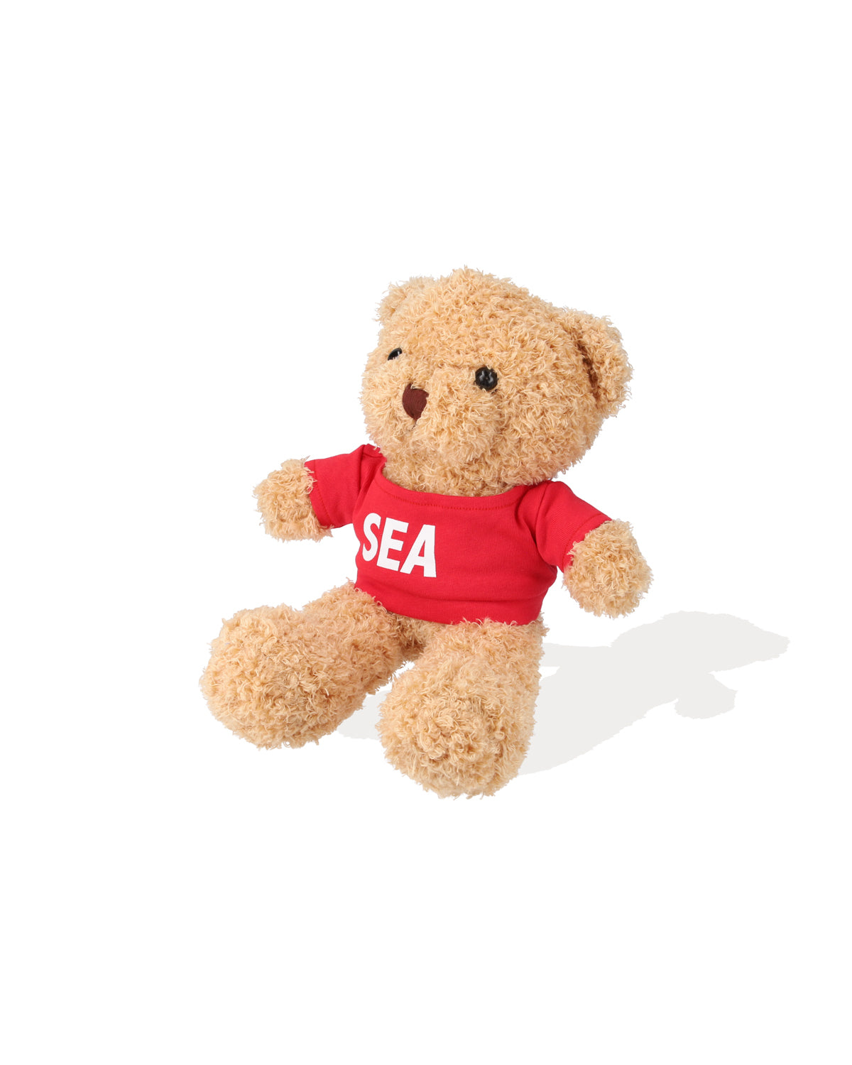 SEA TEDDY BEAR – WIND AND SEA