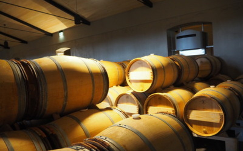 フレンチオークとアメリカンオークの違いは？(ワインを楽しむ基礎知識