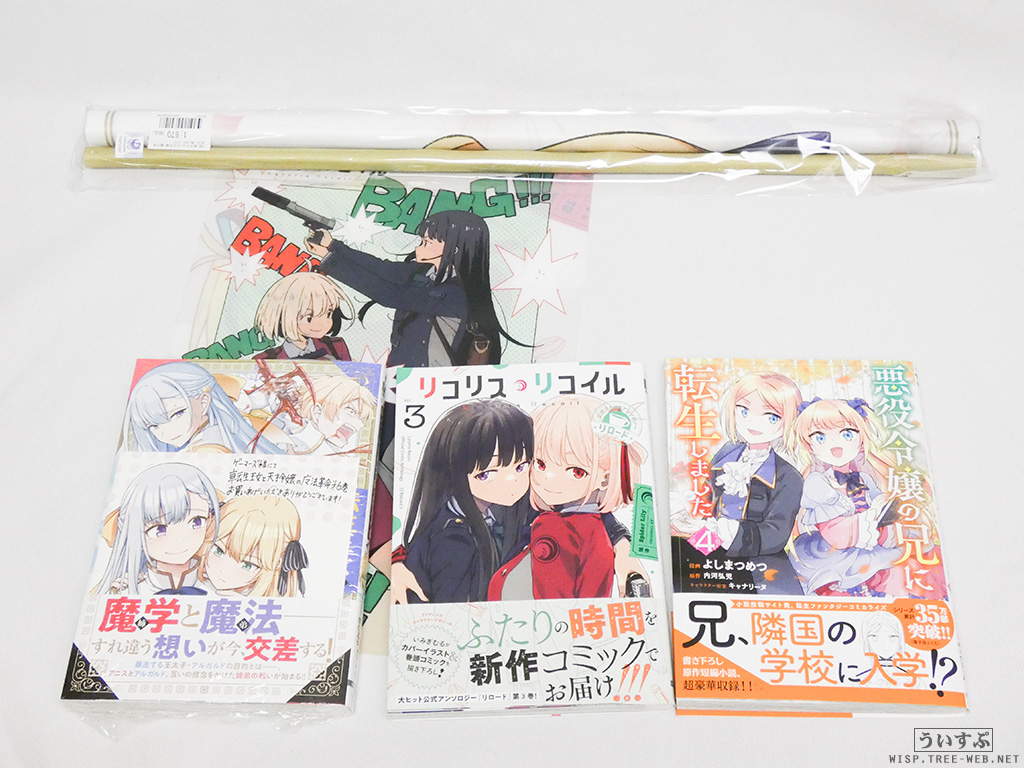 ゲーマーズ 書籍・特典 [梱包写真] : ういすぷの記録帳