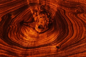 キングウッド | 木材博物館