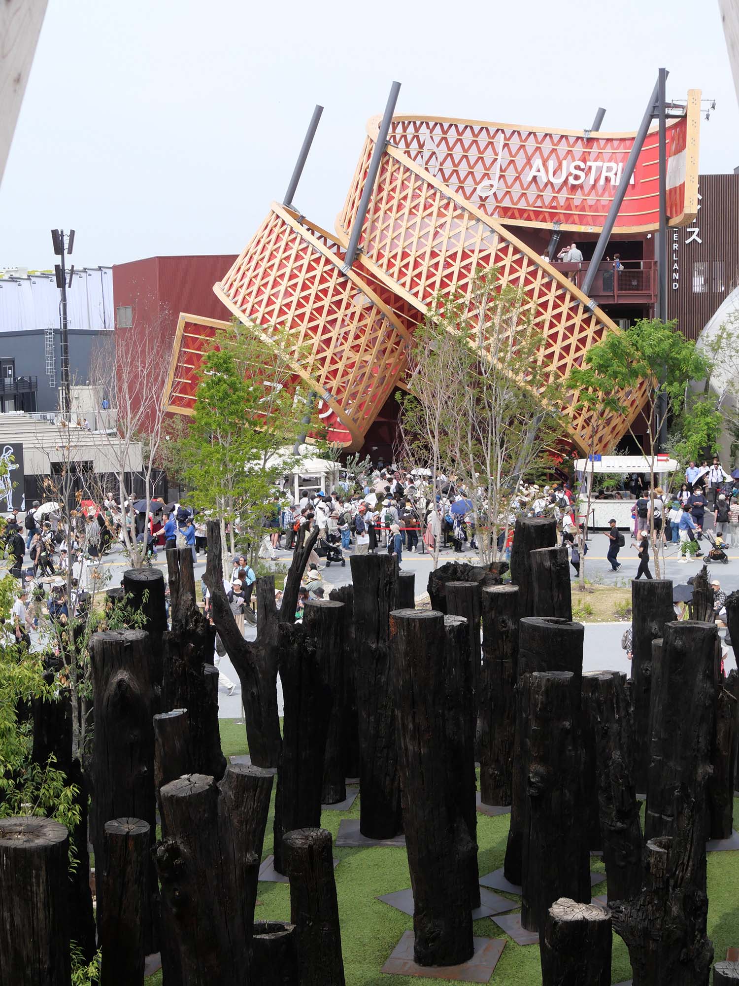 文明の森|2025年大阪・関西万博|日本万国博覧会と木のかかわり|12.木の