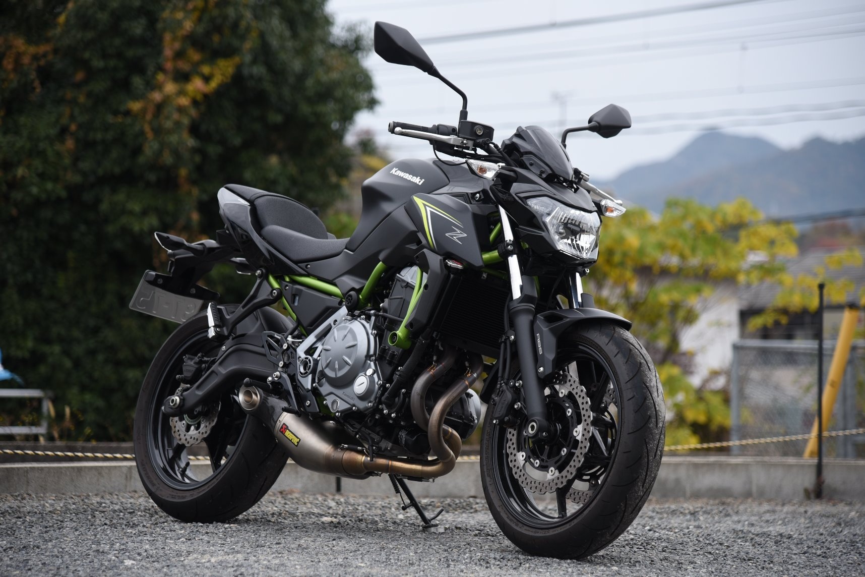 Z650(19-) | Kawasaki | ウッドストック woodstock | バイクパーツ