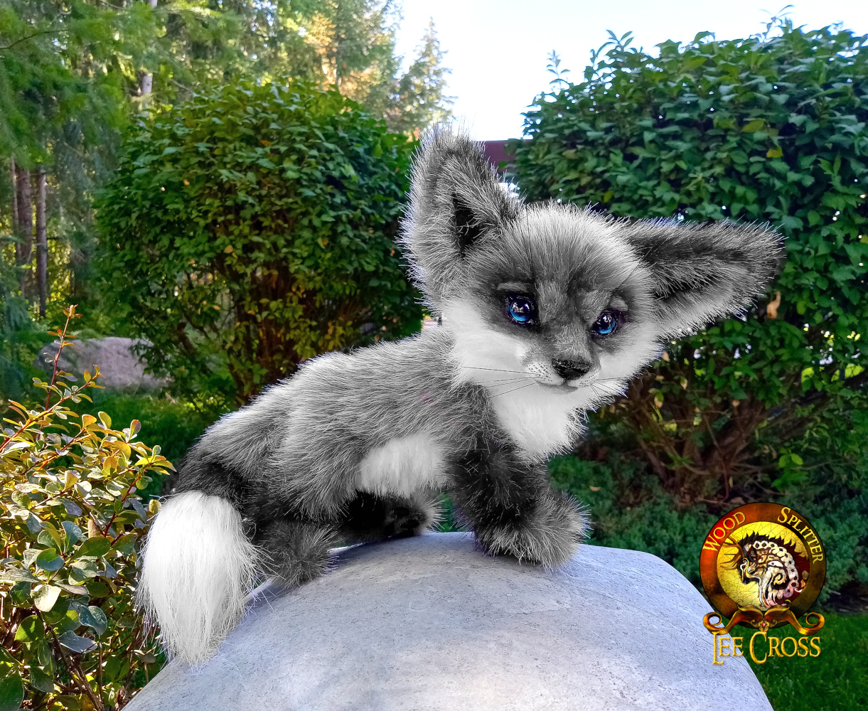 Meet “Mist” the Baby Silver Fox! – Wood Splitter Lee Cross Originals™