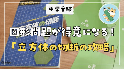 中学受験】日能研 思考力育成テスト⑤(1/22•小5) 結果分析 | ポチたま
