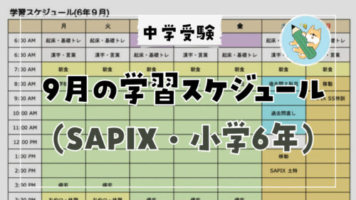 中学受験】6年生後期「SS特訓(サンデーサピックス)」開始！ | ポチたま