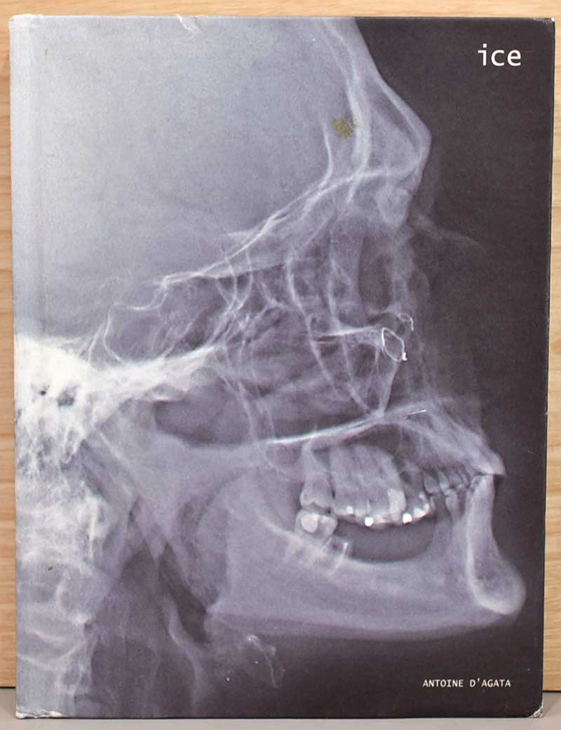 オンライン品出し情報＿（英仏文）アントワン・ダガタ写真集 アイス