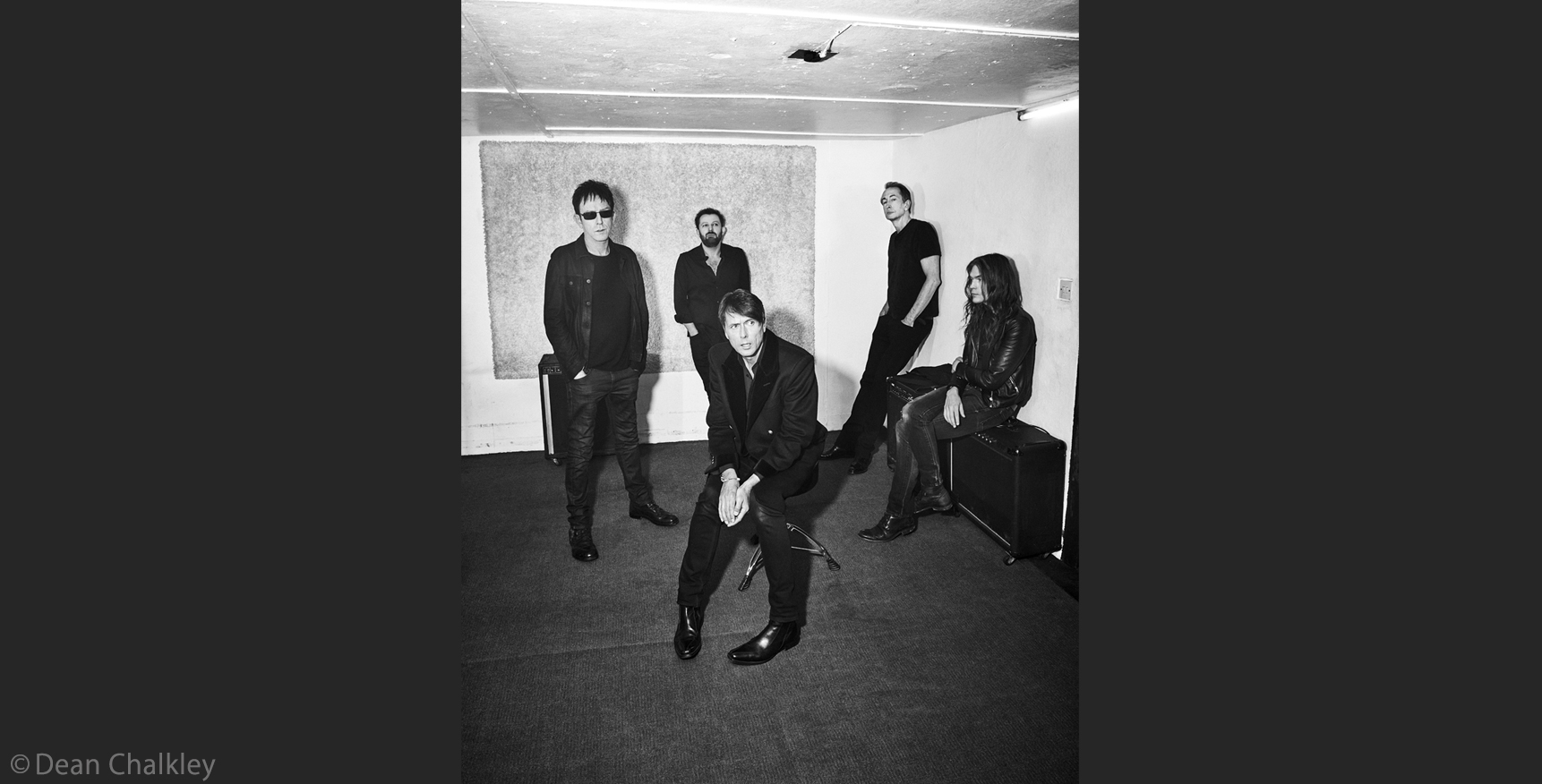 Suede / スウェード | Warner Music Japan