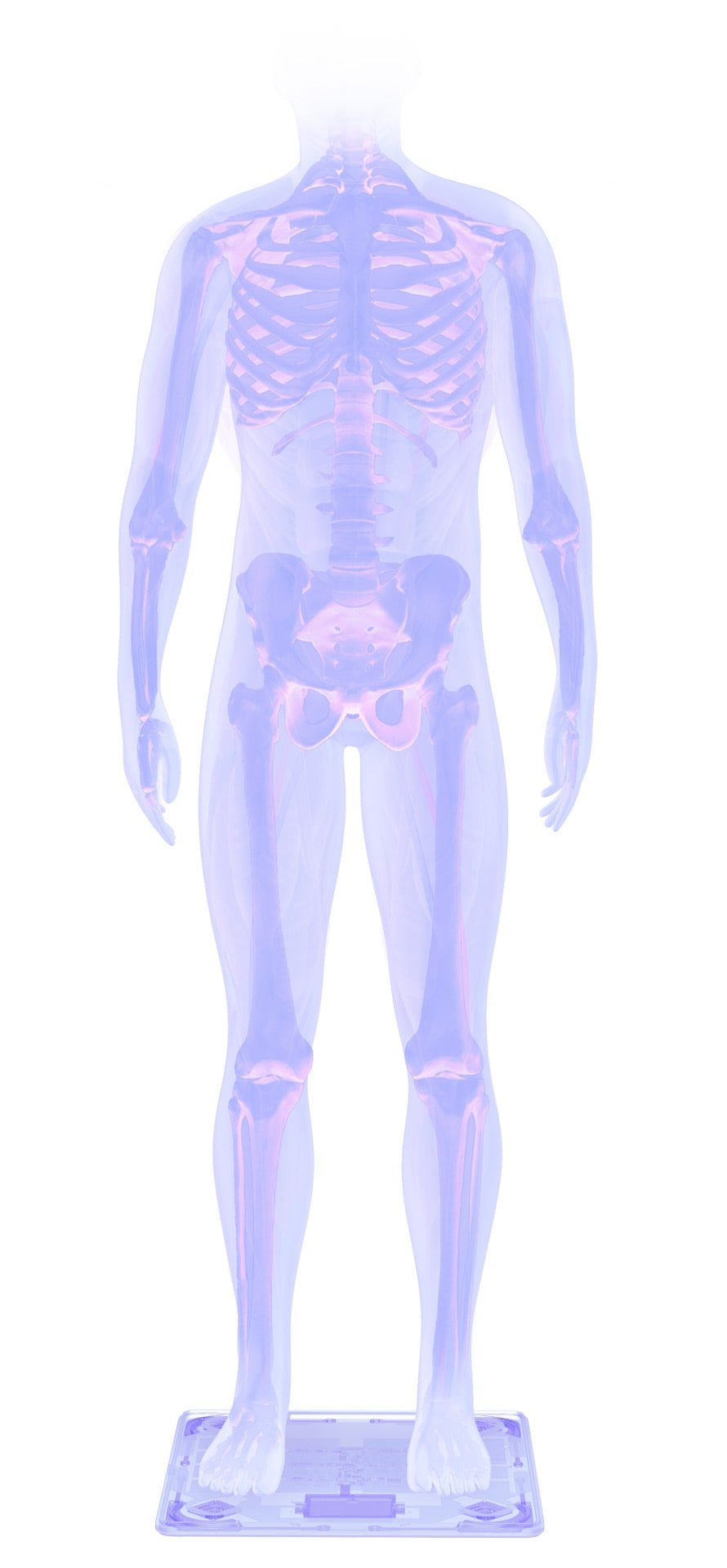 Body Cardio | Withings