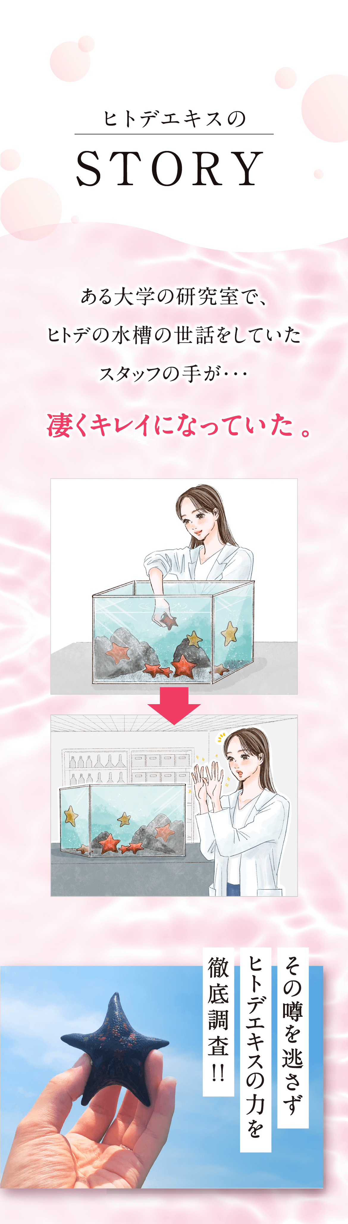 ヒトデ洗顔石けん MOCO MOCO Star Ⅱ」初回 200円引き キャンペーン!!