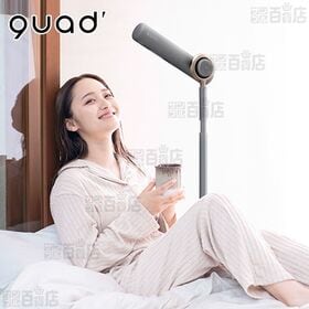 グレー] ハンズフリースタンドヘアドライヤー BISARA (ビサラ