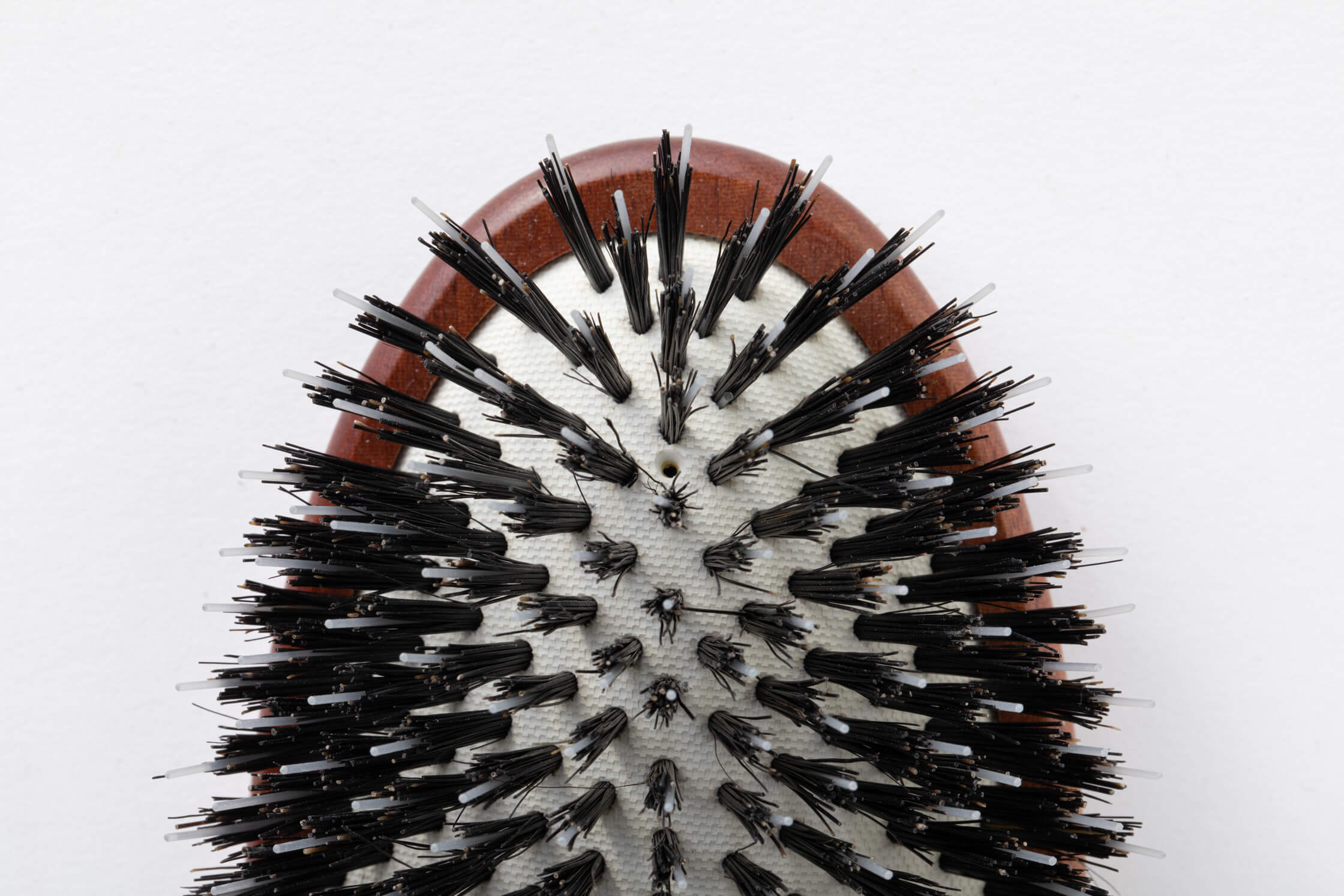 ACCA KAPPA ｜Shin;Kuu（シンクー）