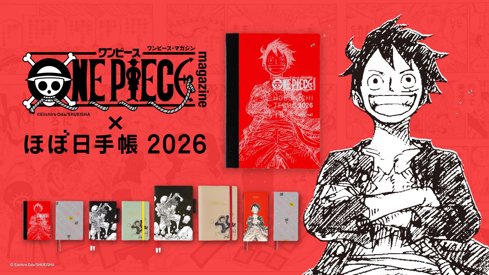 ONE PIECE magazine / ほぼ日の下敷き Memories オリジナルサイズ用