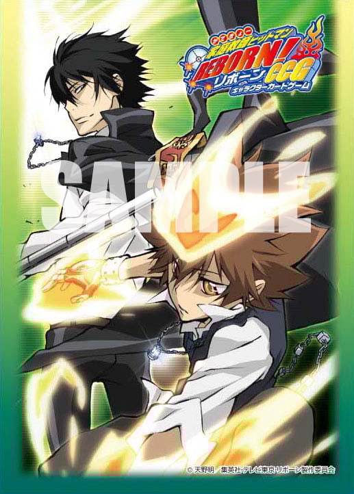 家庭教師ヒットマンREBORN 綱吉 雲雀 恭弥 文庫版 全21巻 値下げ不可