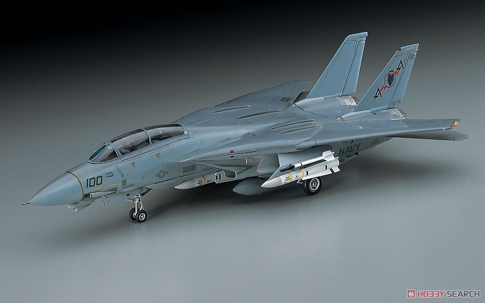 F-14A トムキャット (ロービジ) (プラモデル) - ホビーサーチ