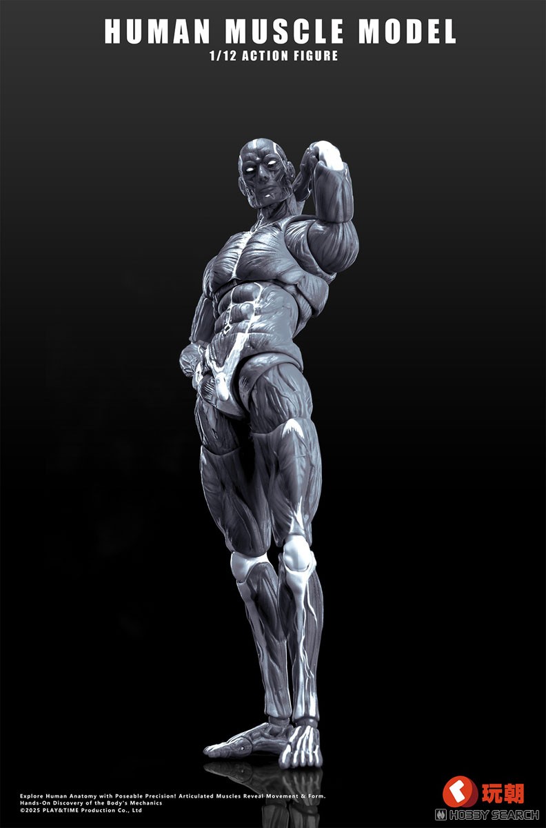 KEEPGOING Studio 人体筋肉模型 1/12スケール可動フィギュア グレー