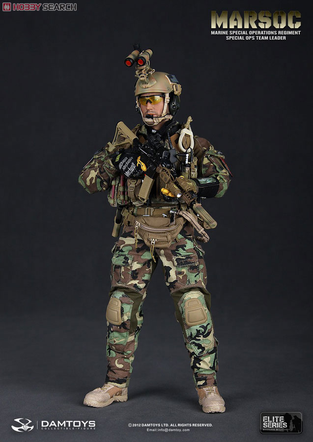 Dam Toy エリート・シリーズ 1/6アメリカ海兵隊 特殊作戦コマンド