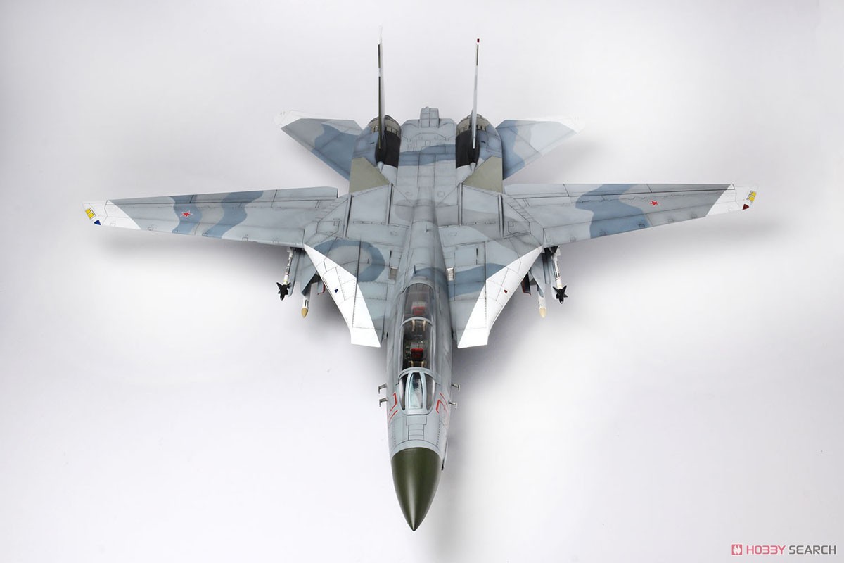 F-14Aトムキャット アメリカ海軍戦闘機兵器学校 `トップガン