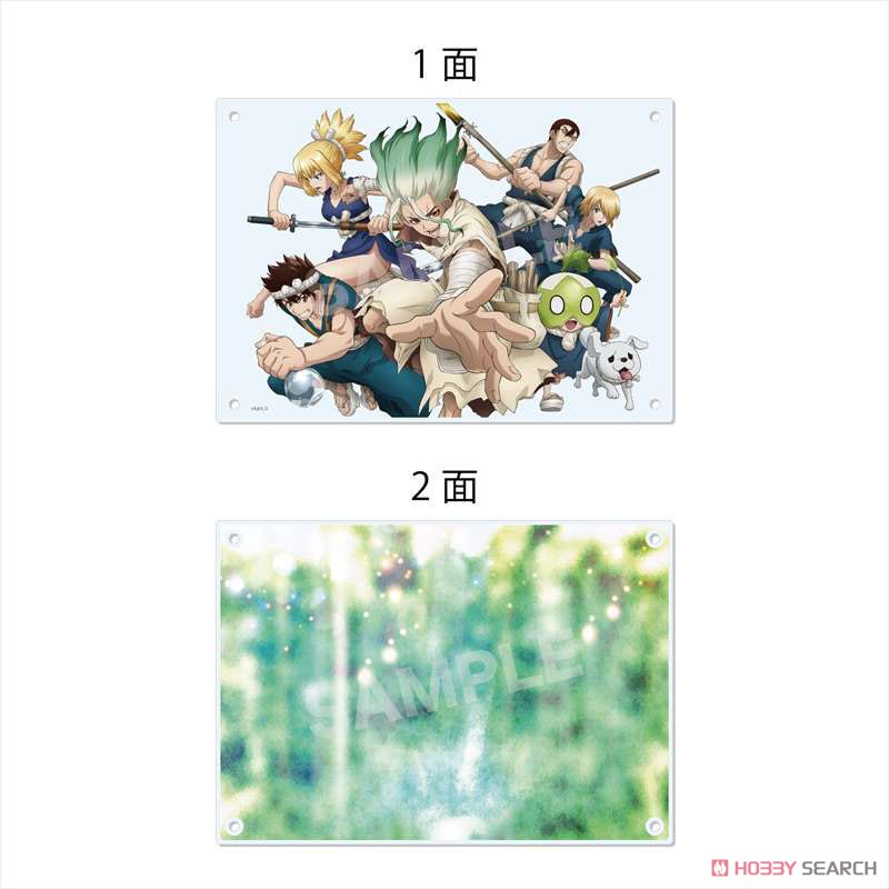 Dr.STONE アクリルボード 02 集合 (キャラクターグッズ) - ホビー