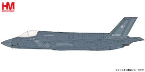 航空自衛隊 T-4 `第31教育飛行隊 洋上迷彩塗装` (完成品飛行機