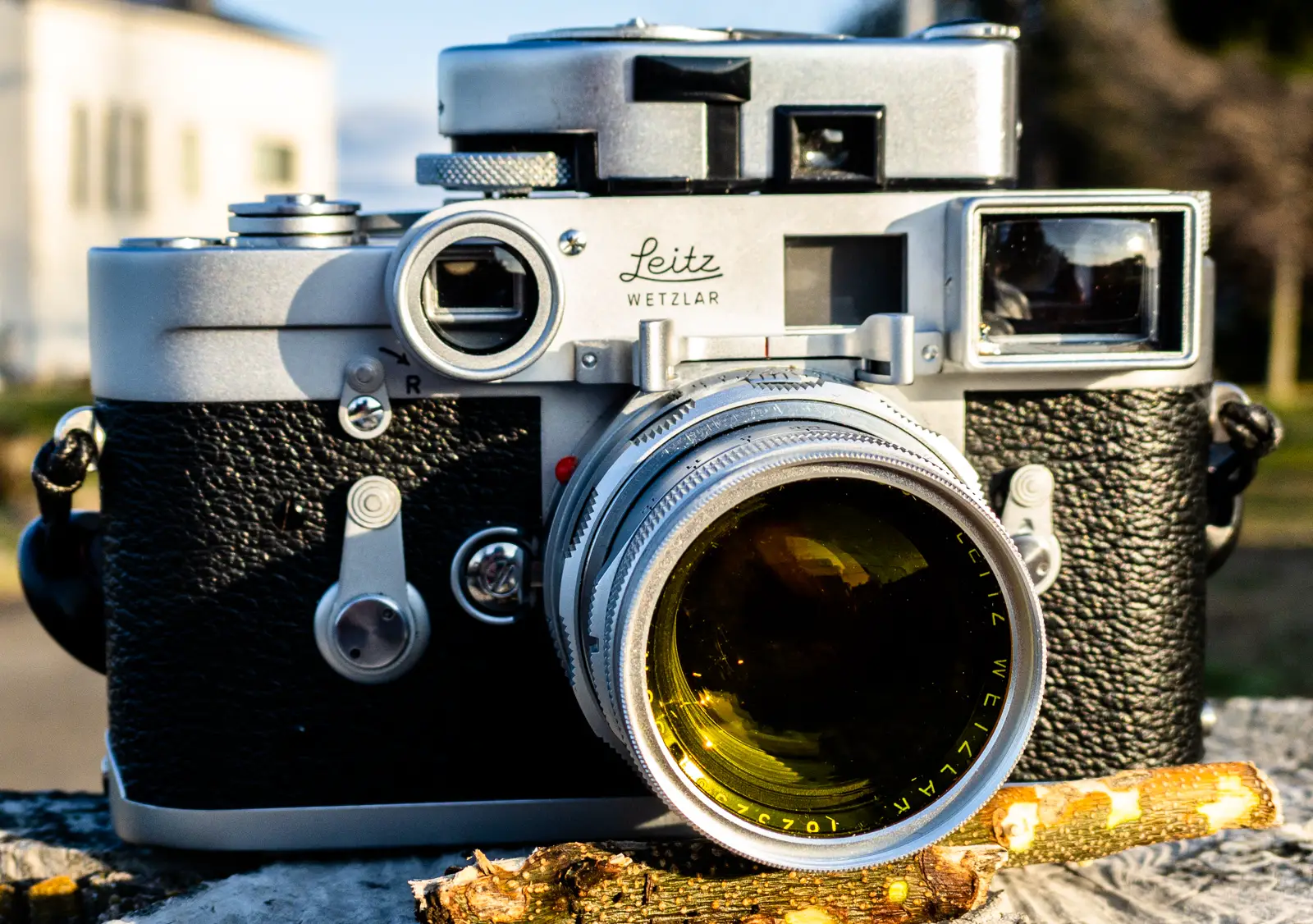 Leica 50mm f/2 Summicron DR - Plum Blossoms - By Steven Bleistein