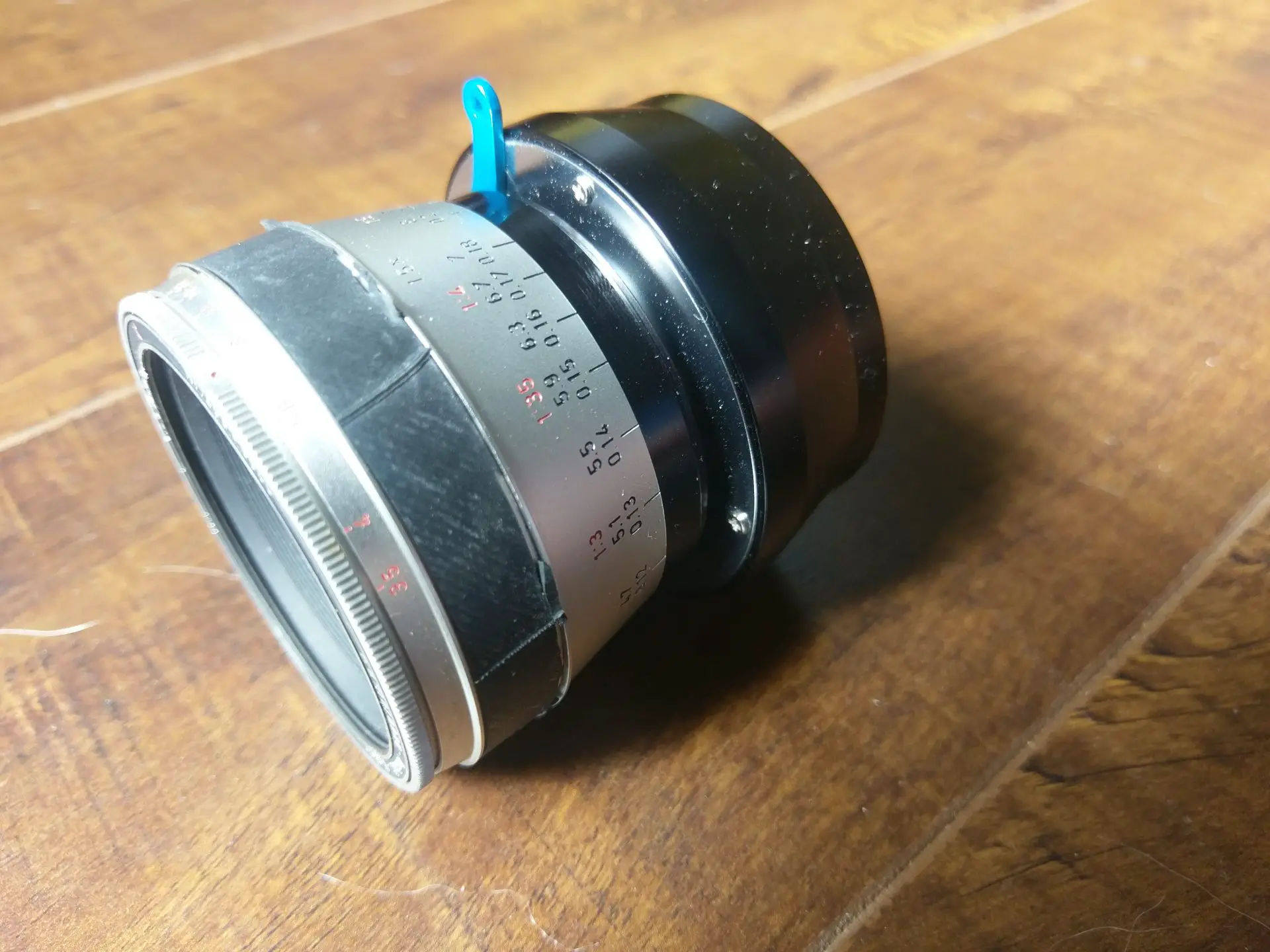 5 frames with the Kilfitt Makro Kilar E 40mm f3.5 Lens - By Nigel