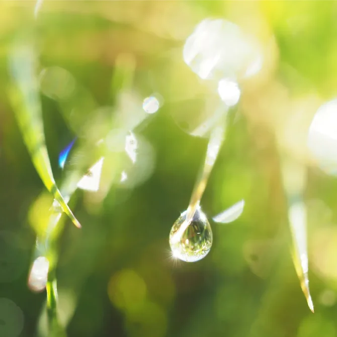 二十四節気 / 雨水 うすい｜二十四節気と七十二候｜暦生活 | 日本の