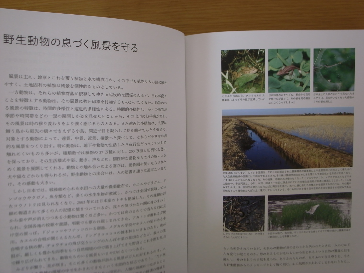 造園家 山本紀久氏の本「造園植栽術」をご紹介します｜5×緑ニュース