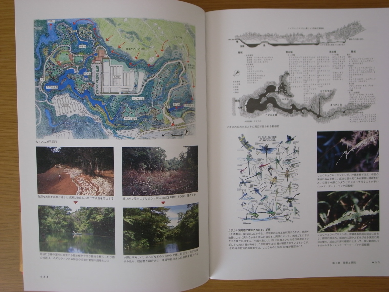 造園家 山本紀久氏の本「造園植栽術」をご紹介します｜5×緑ニュース