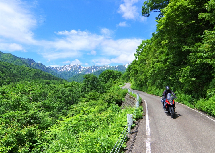 国道352号 樹海ライン | Bike Life Lab｜バイク王
