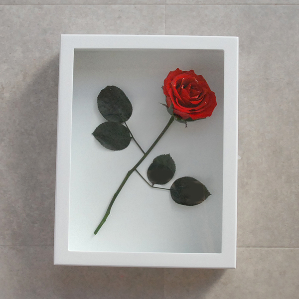花の保存・バラ1本フレーム21×27cm｜花を長く残す プリザーブド