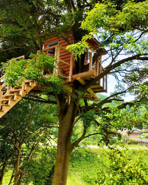 ツリーハウス - 【公式】やさい菓子工房cocoai