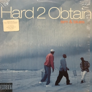 ISM & BLUES / /HARD 2 OBTAIN レコード通販COCOBEAT RECORDS
