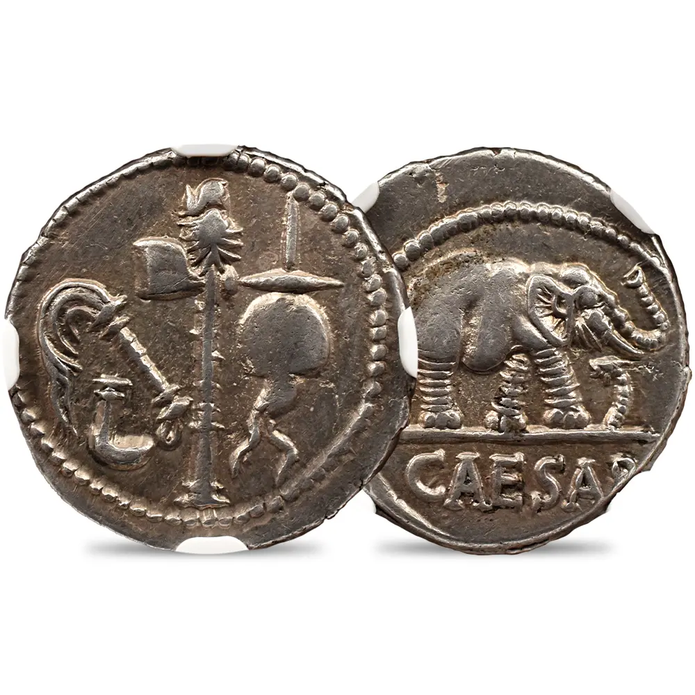 古代ローマ帝国 紀元前49-48 カエサル 蛇を踏む象 デナリウス銀貨 NGC