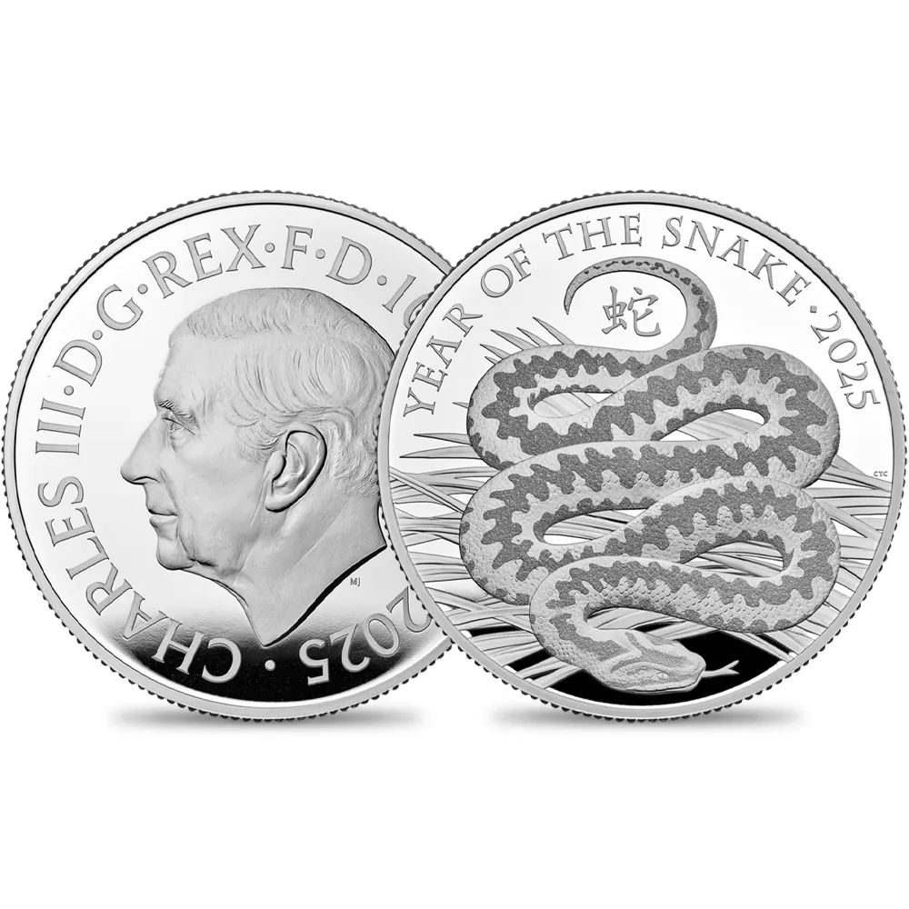 2025 チャールズ3世 干支巳年 10ポンド5オンスプルーフ銀貨 未鑑定 箱