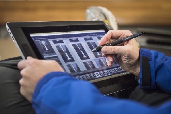 Review of the Wacom Cintiq Companion 2