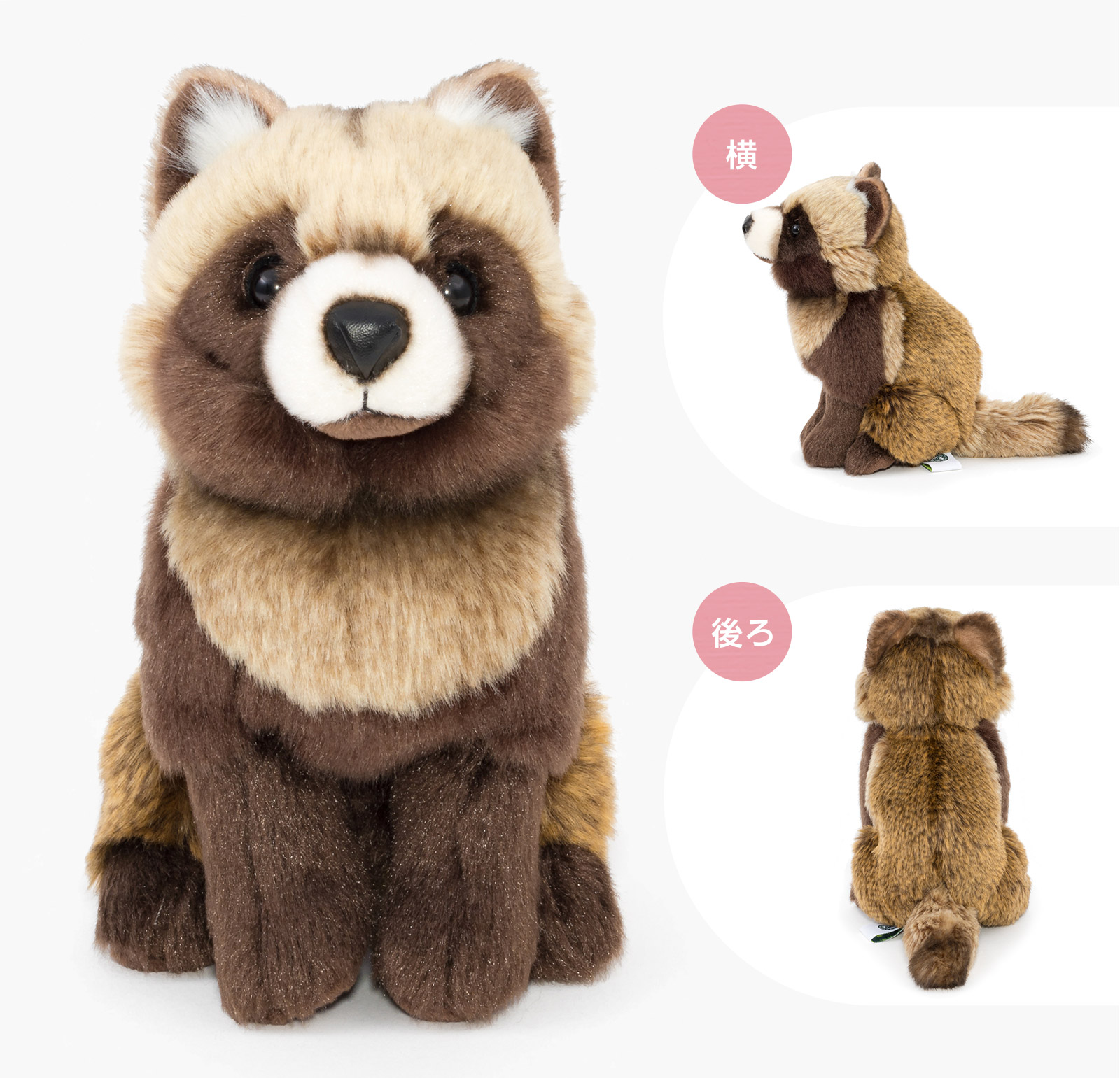 ぬいぐるみ リアルアニマルベイビー ホンドタヌキ│動物 カロラータ