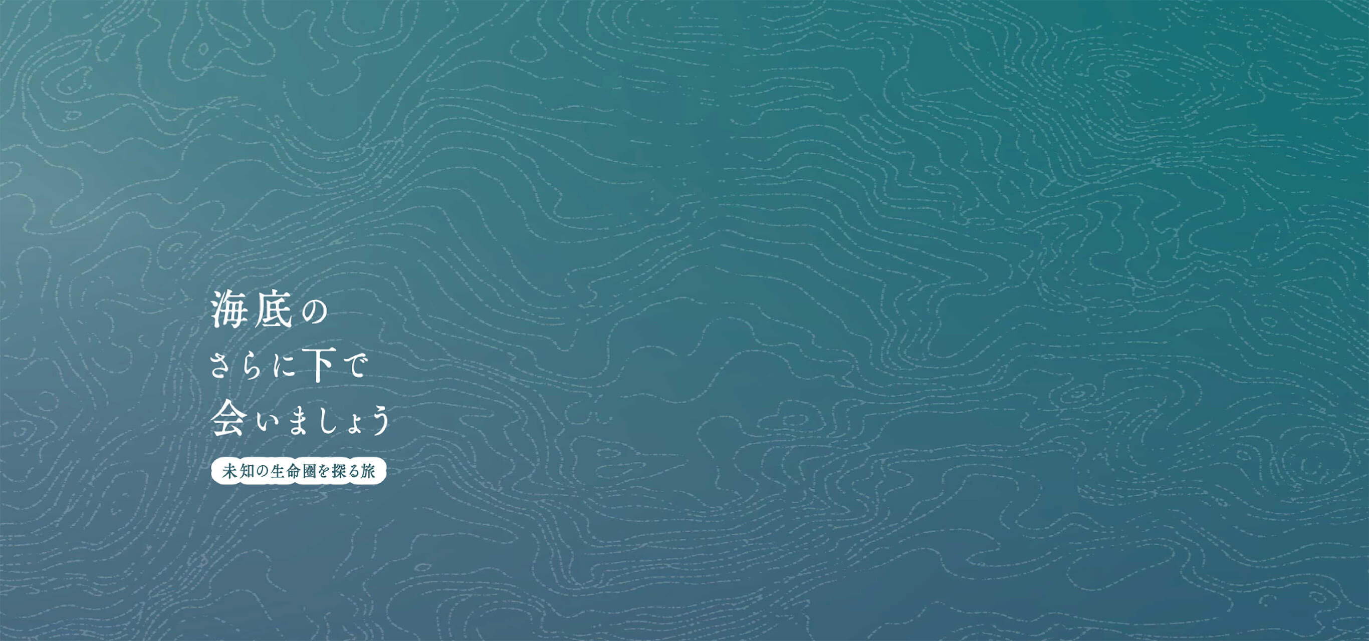 国立研究開発法人 海洋研究開発機構（JAMSTEC） 海底下生命圏ガイド