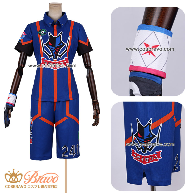 ポケットモンスターソード・シールド ポケモン剣盾 ジムリーダー