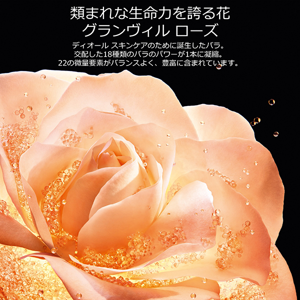 プレステージ マイクロ ローション ド ローズ / ディオール(化粧水