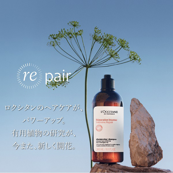 インテンシヴリペア シャンプー / ロクシタン(シャンプー, シャンプー