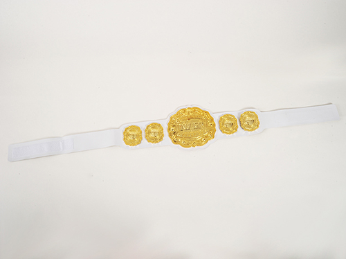 IWGPインターコンチネンタル プラスチックチャンピオンベルト [新日本